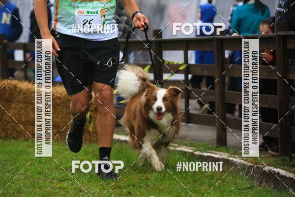 Buy your photos of the eventExpocani Vai Tot Canicross on Fotop