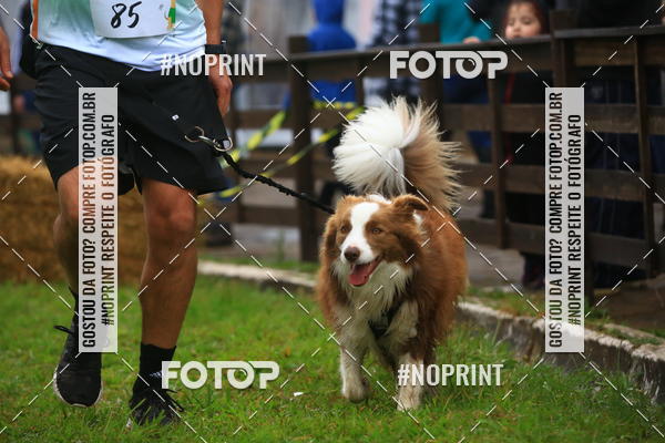 Buy your photos of the eventExpocani Vai Tot Canicross on Fotop