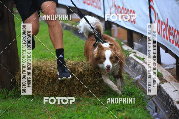 Buy your photos of the eventExpocani Vai Tot Canicross on Fotop