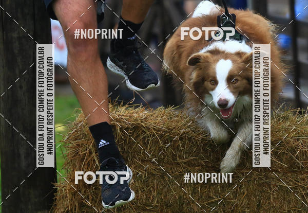 Buy your photos of the eventExpocani Vai Tot Canicross on Fotop