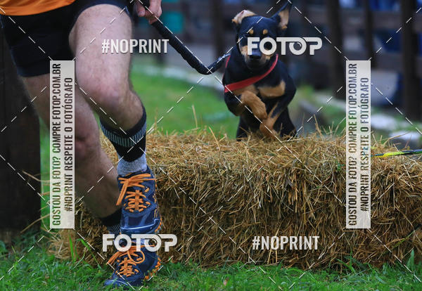 Buy your photos of the eventExpocani Vai Tot Canicross on Fotop