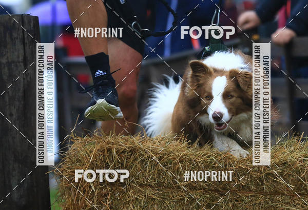 Buy your photos of the eventExpocani Vai Tot Canicross on Fotop