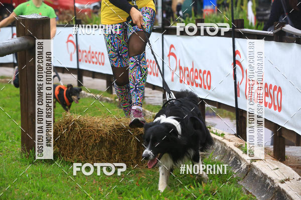 Buy your photos of the eventExpocani Vai Tot Canicross on Fotop