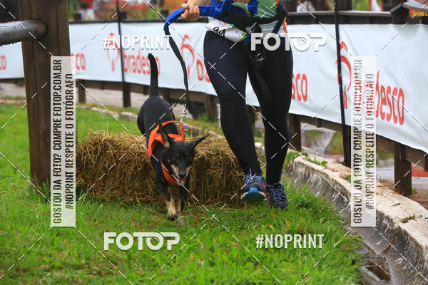 Buy your photos of the eventExpocani Vai Tot Canicross on Fotop