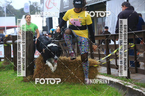 Buy your photos of the eventExpocani Vai Tot Canicross on Fotop