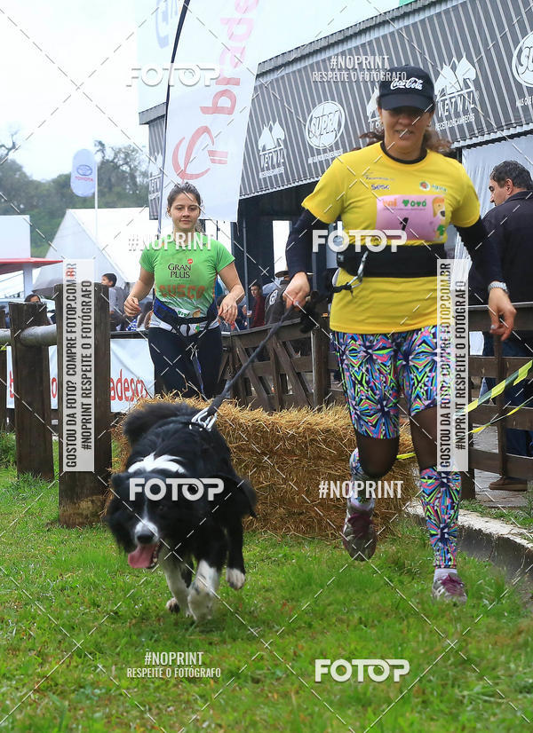 Buy your photos of the eventExpocani Vai Tot Canicross on Fotop