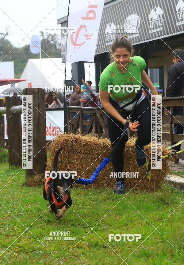 Buy your photos of the eventExpocani Vai Tot Canicross on Fotop