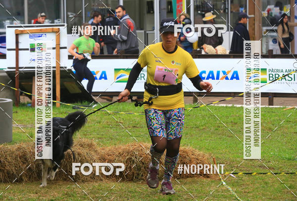 Buy your photos of the eventExpocani Vai Tot Canicross on Fotop