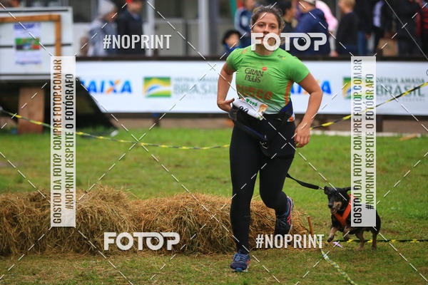 Buy your photos of the eventExpocani Vai Tot Canicross on Fotop