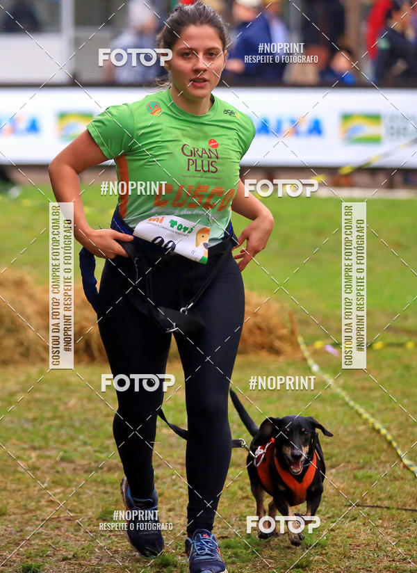 Buy your photos of the eventExpocani Vai Tot Canicross on Fotop