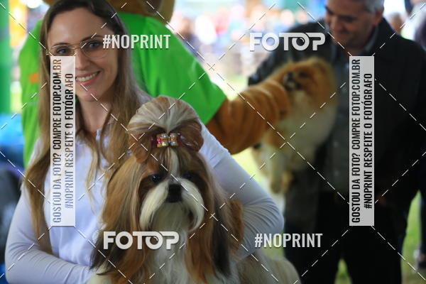 Buy your photos of the eventExpocani Vai Tot Canicross on Fotop