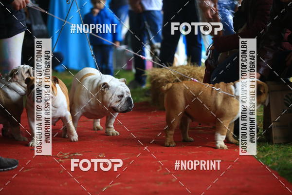 Buy your photos of the eventExpocani Vai Tot Canicross on Fotop