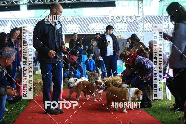 Buy your photos of the eventExpocani Vai Tot Canicross on Fotop