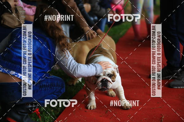 Buy your photos of the eventExpocani Vai Tot Canicross on Fotop