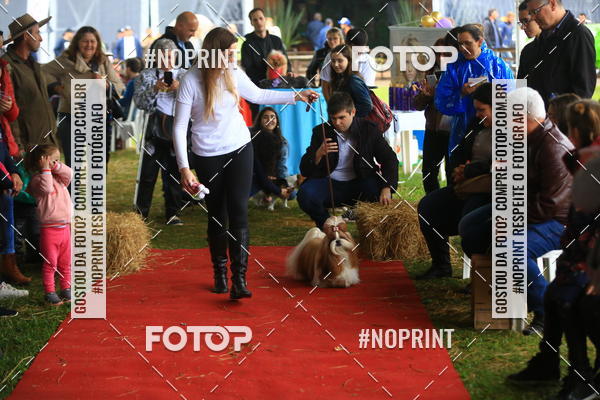 Buy your photos of the eventExpocani Vai Tot Canicross on Fotop