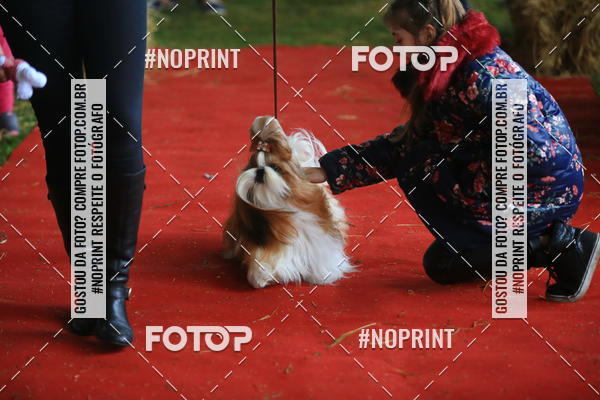 Buy your photos of the eventExpocani Vai Tot Canicross on Fotop