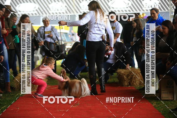 Buy your photos of the eventExpocani Vai Tot Canicross on Fotop