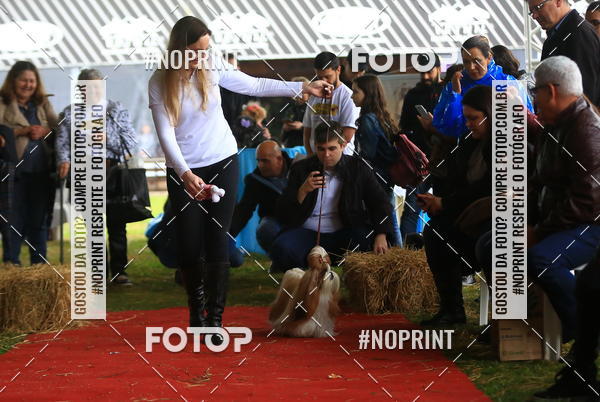 Buy your photos of the eventExpocani Vai Tot Canicross on Fotop