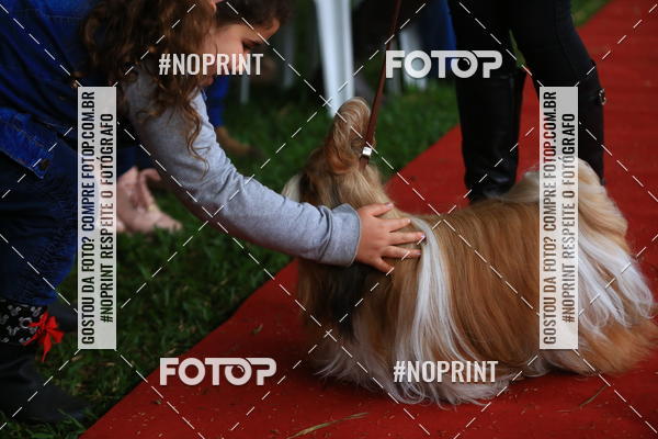 Buy your photos of the eventExpocani Vai Tot Canicross on Fotop