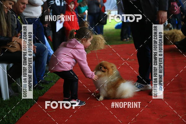 Buy your photos of the eventExpocani Vai Tot Canicross on Fotop