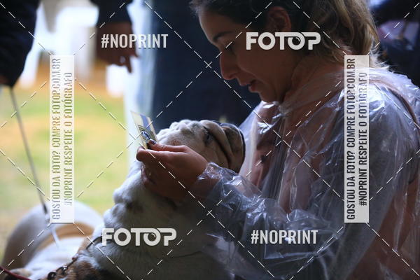 Buy your photos of the eventExpocani Vai Tot Canicross on Fotop