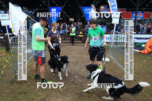 Buy your photos of the eventExpocani Vai Tot Canicross on Fotop