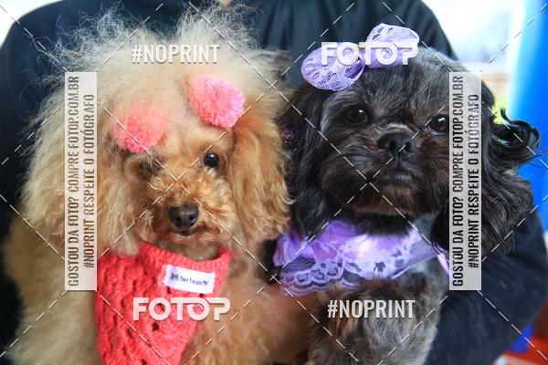 Buy your photos of the eventExpocani Vai Tot Canicross on Fotop