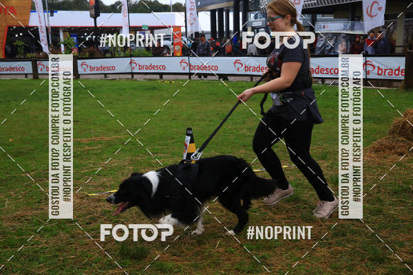 Buy your photos of the eventExpocani Vai Tot Canicross on Fotop