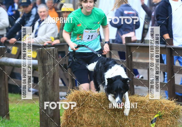 Buy your photos of the eventExpocani Vai Tot Canicross on Fotop