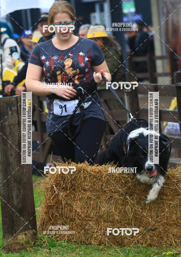 Buy your photos of the eventExpocani Vai Tot Canicross on Fotop