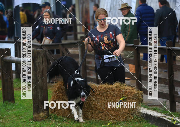 Buy your photos of the eventExpocani Vai Tot Canicross on Fotop