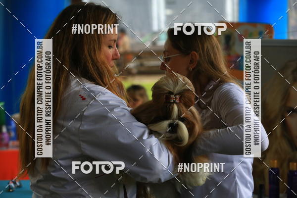 Buy your photos of the eventExpocani Vai Tot Canicross on Fotop