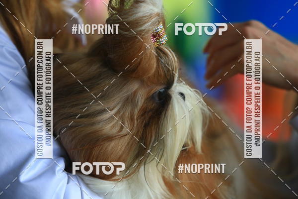 Buy your photos of the eventExpocani Vai Tot Canicross on Fotop