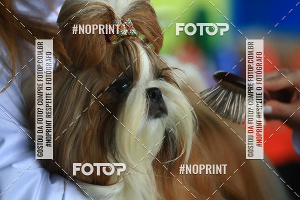 Buy your photos of the eventExpocani Vai Tot Canicross on Fotop