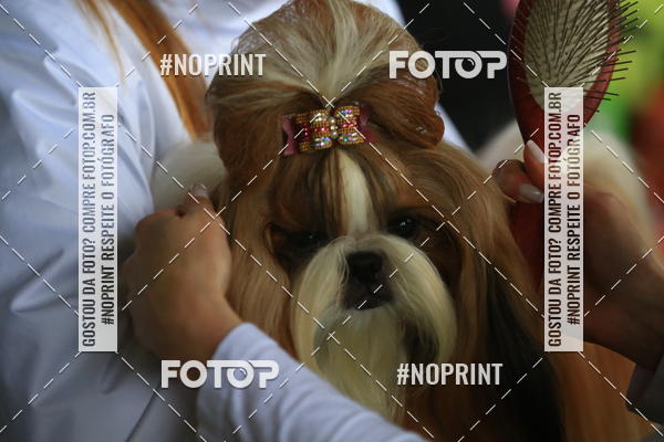 Buy your photos of the eventExpocani Vai Tot Canicross on Fotop