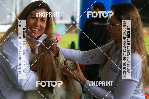 Buy your photos of the eventExpocani Vai Tot Canicross on Fotop