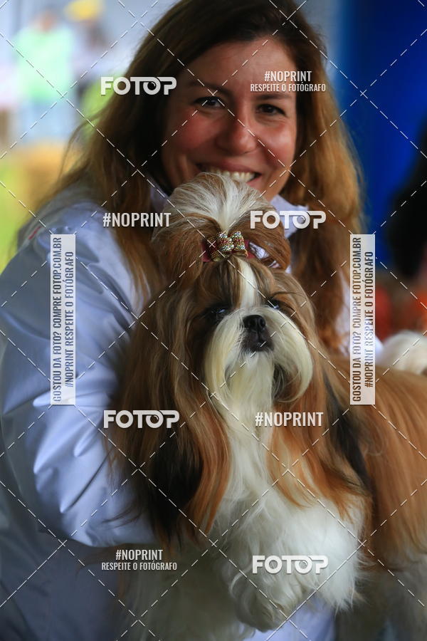 Compre as suas fotos do eventoExpocani Vai Tot Canicross no Fotop