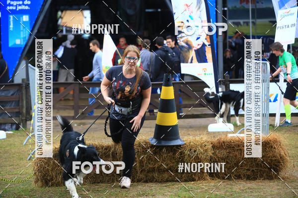 Buy your photos of the eventExpocani Vai Tot Canicross on Fotop