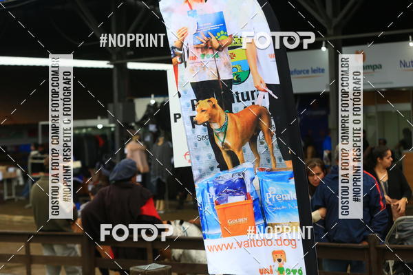 Buy your photos of the eventExpocani Vai Tot Canicross on Fotop