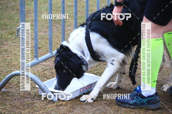 Buy your photos of the eventExpocani Vai Tot Canicross on Fotop