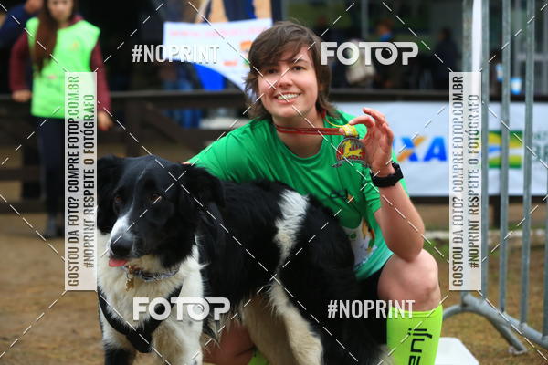 Buy your photos of the eventExpocani Vai Tot Canicross on Fotop