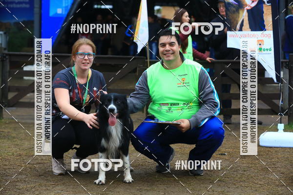 Buy your photos of the eventExpocani Vai Tot Canicross on Fotop