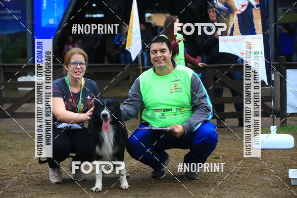 Buy your photos of the eventExpocani Vai Tot Canicross on Fotop