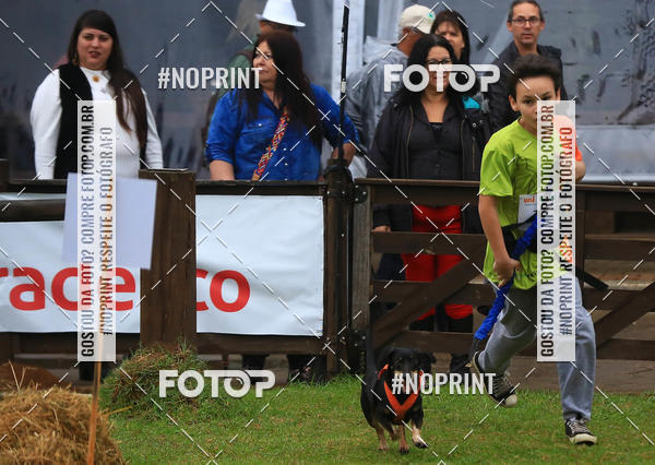 Compre as suas fotos do eventoExpocani Vai Tot Canicross no Fotop