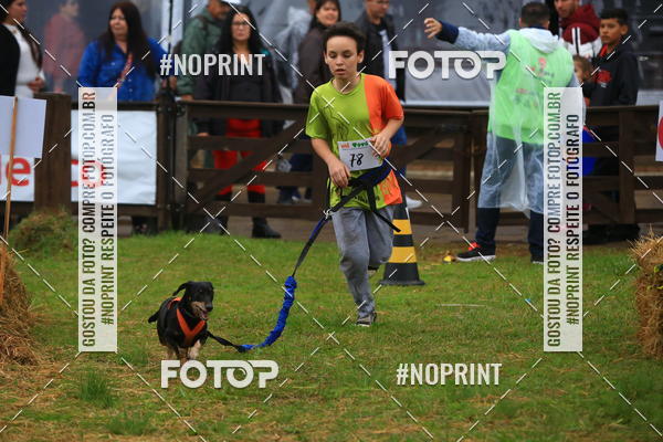 Buy your photos of the eventExpocani Vai Tot Canicross on Fotop