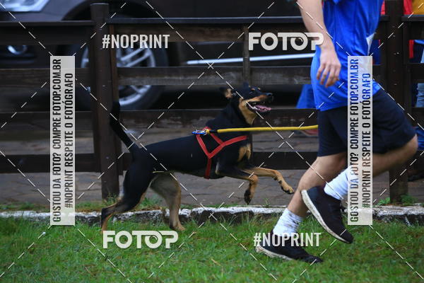 Buy your photos of the eventExpocani Vai Tot Canicross on Fotop