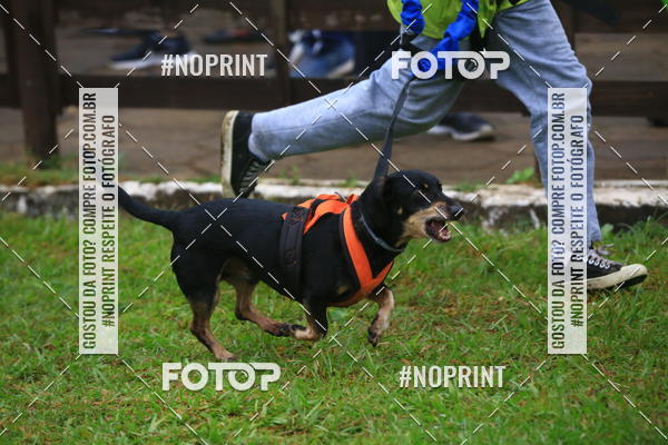 Buy your photos of the eventExpocani Vai Tot Canicross on Fotop