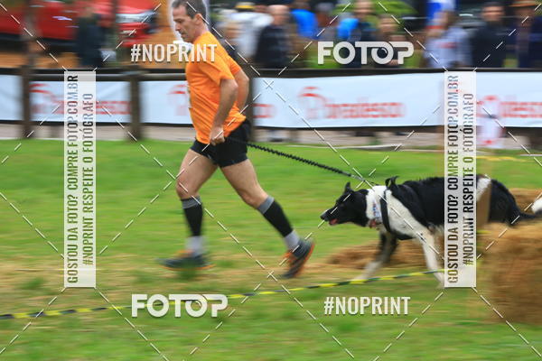 Buy your photos of the eventExpocani Vai Tot Canicross on Fotop