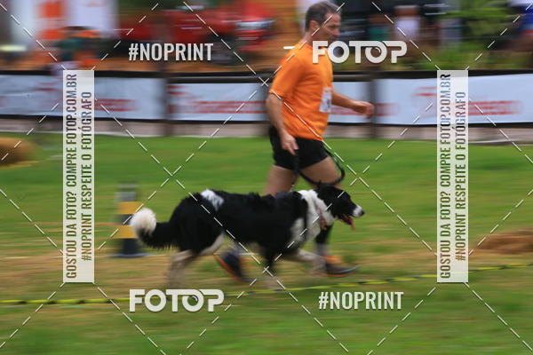 Buy your photos of the eventExpocani Vai Tot Canicross on Fotop