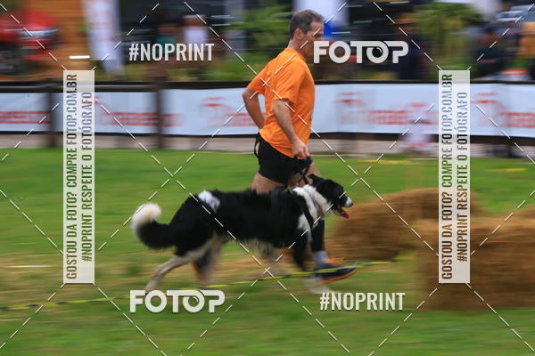 Buy your photos of the eventExpocani Vai Tot Canicross on Fotop